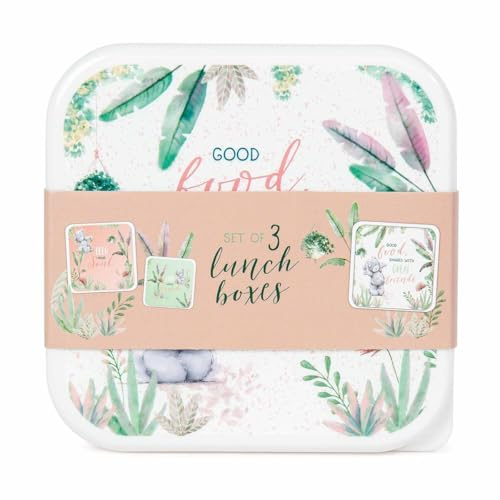 Me To You Bear AGZ01155 Lunch Boxes, Plastic, 600 milliliters, Pink & Green
