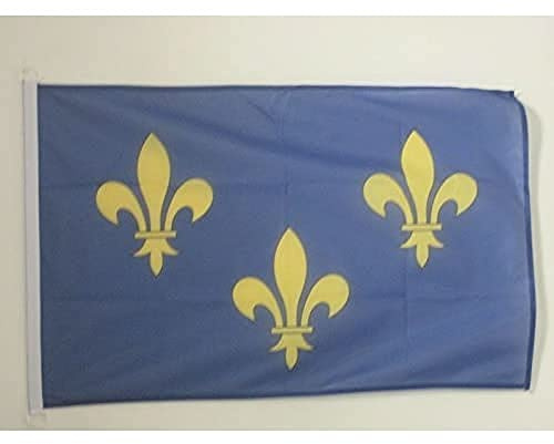 AZ FLAG Pavillon Ile-de-France 45x30 cm Maille Bloquée Anneaux Plastique | Usage extérieur et nautique Pavillon nautique francilien résistant aux intempéries avec coutures doubles et bords renforcés