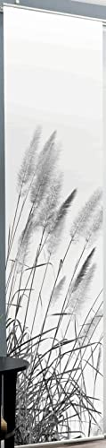 Schiebevorhang Deko blickdicht CATHLEEN, Farbe grau, Größe BxH 60x245 cm
