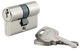 THIRARD - Cylindre de Serrure Européen STD - Laiton Nickelé - Sécurité Anti-Arrachement - Mécanisme à 5 Goupilles - 3 Clés Crantées Acier Nickelé - 21 x 21 mm - Gris