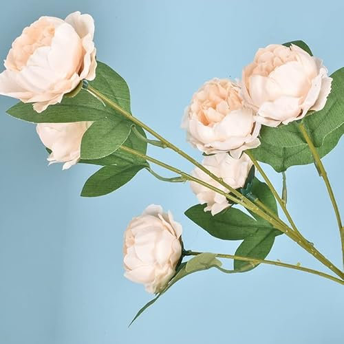 TONZN 6 Köpfe Künstliche Blumen, Kerngesponnene Kleine Pfingstrose Hochzeitsdekoration Pfingstrose Künstliche Blumen Gefälschter Trockenblumenstrauß (Farbe : Weinrot) (Pink)