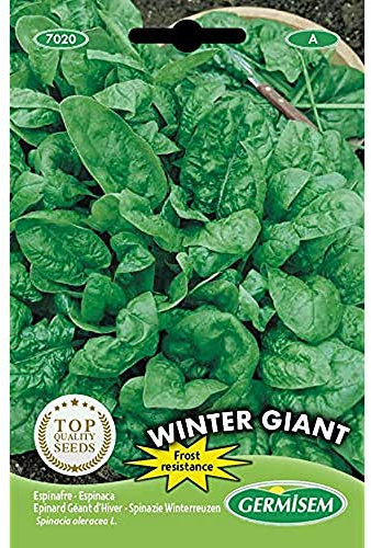 Germisem Winter Giant Semi di Spinaci 15 g