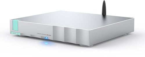 S.M.S.L B100 Bluetooth-Empfänger AK4493S DAC-Chip Bluetooth 5.1 Unterstützt LDAC/aptX HD/SBC/AAC UAT-Format mit 24bit/192kHz HiFi-Bluetooth-Audioempfänger Koaxial-/Optischer/AES/EBU-Digitalausgang