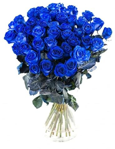 Ramo de ROSAS AZULES Naturales con 25 Flores en Tonos Vibrantes Rosas Azules Frescas para Ocasiones Especiales
