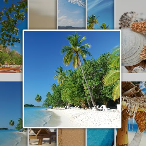 GRAZDesign Fliesenaufkleber Bad & Küche Strand Muscheln Meer Fliesenbilder Klebefliesen selbstklebend (20 Stück, 15x15cm)