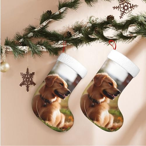 WSOIHFEC Weihnachtsstrümpfe, Motiv: Hund im Hof, weicher Weihnachtsstrumpf zum Aufhängen, 1 Stück, 45 cm, große Weihnachtssocken für Weihnachten, Familie, Kamin, hängende Dekoration
