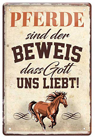 Pferde sind der Beweis - Metallschild mit witzigen Spruch für Reiterinnen und Reiter - Retro Deko Blechschild Reitstube Reiterstube Reiterhof - Geschenk Schild Pferdesport Springreiten - 20x30cm