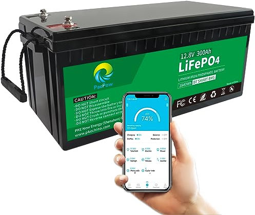 PacPow 12V 300Ah LiFePO4 Batterie mit Ladegerät,Bluetooth,200A Smart BMS,für Wohnmobil,Boot,Solaranlage, Wohnwagen,Solar,Haushalt
