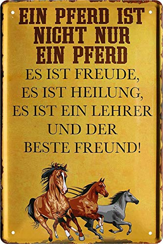 schilderkreis24 - Blechschild Lustiger Spruch “EIN Pferd ist Nicht nur EIN ..“ Deko Pferd Reiten Geschenkidee Pferdebesitzer Pferde Fans 20x30 cm