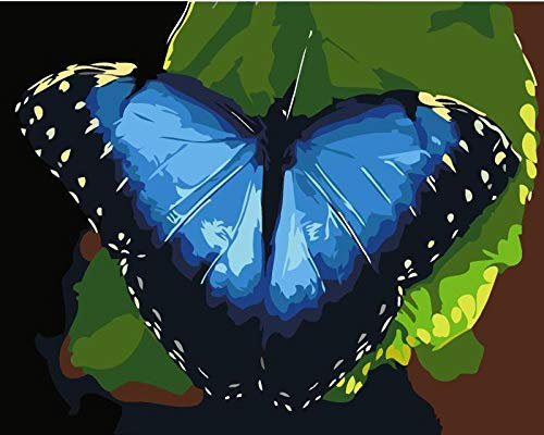 Malen Nach Zahlen für Erwachsene Und Kinder Weihnachten DIY Acryl-Malset Mit Pinselblauer Schmetterling DIY Malen Nach Zahlen Kits für Erwachsene Kinder Anfänger DIY Arts Craft