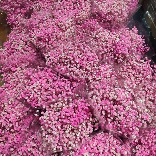 NAABHIKA 80g/Lot Weiß Gypsophila Trockenblumenstrauß Blumen Echte Blume Heimtextilien Wohnzimmer Dekoration-rosa,80g