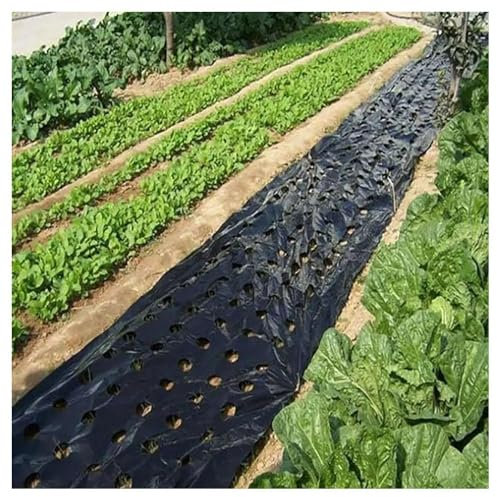 CHALKE Griculture Mantillo, 1 Pieza Película Plástica con Orificio Preperforado Control De Malezas De Invernadero Mylar Fresa Vegetal Vivero Herramientas De Siembra Negro (Size : 0.95x50m)