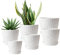 Plant Pots Indoor, 6Pack Plastic Plant Pots 19/17.5/16.5/15.5/14/11.5cm, Flower Pots Outdoor Self Watering Indoor Plant Pot with Drainage Holes, Tray, Plastic Planter for Garden House Plants(White)