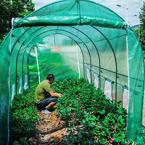 Invernadero grande con puerta con cremallera y ventanas enrollables, tienda de campaña de jardín al aire libre para cultivo de plantas, cubierta resistente, accesorio perfecto para patio trasero