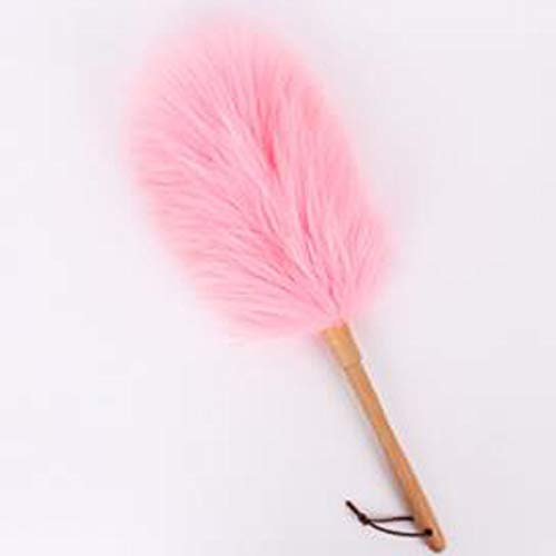 ANQI Lambswool Duster with Solid Wooden Handle, Flexible, Good Grips, Anti-Static, Feather Duster Home, Office Blinds Furniture Window Bookshelf Cleaning Tool