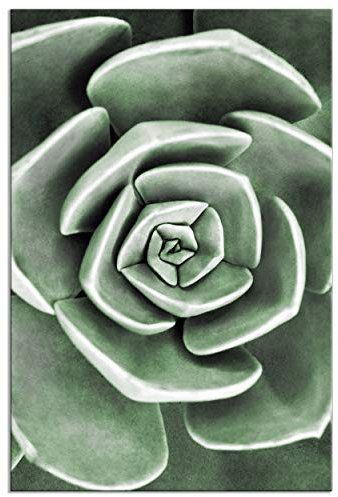 decomonkey - Tableau Acoustique Nature 60x90 1 Pièce - Impression sur Toile Décoration Maison Isolation Peinture Image Phonique Déco Bureau Fleurs nature plantes style d'affiche vert