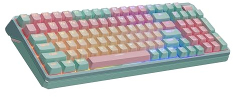 Cooler Master MK770 Macaron Wireless Mechanical RGB Gaming Keyboard, Kailh Box V2 Click White Switches, Gasket Structure, Hot-Swappable, Bluetooth|2.4GHz, Tactile 3-Way Dial, QWERTY (MK-770-MCKW1-US)