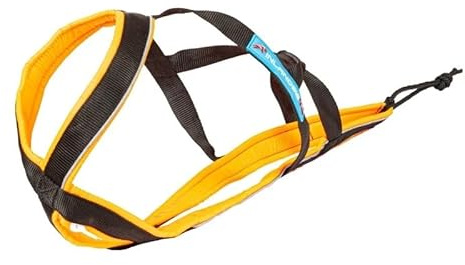 Vielseitiges Hundegeschirr Inlandsis Polar Quest X-Back – leicht, ergonomisch und robust – Canicross, Cani-VTT, Spaziergang und Wanderung (Hund > 15 kg)