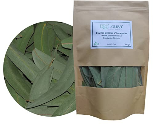 Feuilles d'Eucalyptus Globulus Séchées BIO – Qualité Herboristerie – Récolte Manuelle au Portugal – Pour Infusions, Inhalations, Douche et Bien-être - 100gr