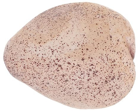 CAXUSD Caja De Piedra Falsa para Esconder Una Llave Adorno De Jardín Moderno para Exteriores Caja para Guardar para Esconder El Patio