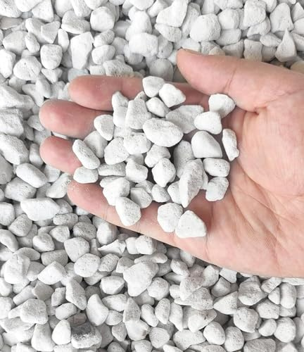 Vermiculite et perlite biologiques horticoles de qualité professionnelle (grande taille – Perlite, 50 QT)