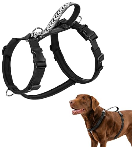 Arblina Imbracatura per Cani, Imbracatura Anti-Tiraggio e Anti-Fuga per Cani Piccoli/Medio/Grandi, Imbracatura a Inserimento Frontale con Clip e Maniglia Morbida, Nero S