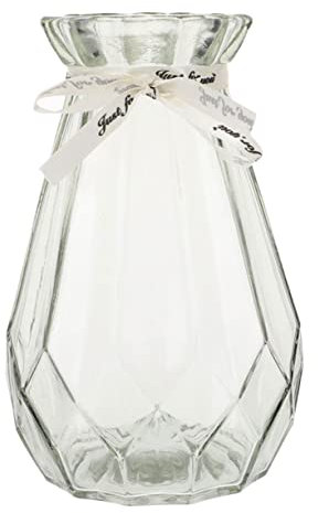 HAWILLOSCH Transparente Glasvase Hydroponik Pflanzbehälter Blumenvase Modern Dekorativ Für Wohnzimmer Küche DIY Pflanzgefäß Im Minimalistischen Stil