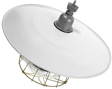 Milisten Lampe Chauffante Lampe Thermostatique pour Volailles et Petits Animaux 250w en Fer et Verre Sûre Éclairage Chaud et Conservation Chaleur Couleur Aléatoire pour Élevage