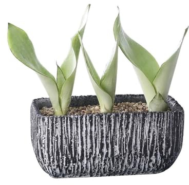 NIUHUAHUI Vaso di fiori, Vaso da fiori nero, fioriera rettangolare in cemento for balcone, soggiorno, cucina, contenitore for piante(L)