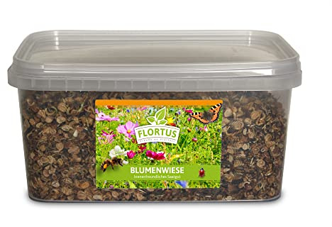 FLORTUS Blumenwiese für Bienen, Hummeln und Schmetterlinge | 2,5 l Eimer für 250-500 m² | Wiesensaatgut für farbenfrohe Bienenwiese | Bunte Wildblumenmischung für Garten & Wiese | Blumensamen