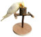 Vogelspielplatz, Vogel Sitzstangen, Papageien Spielplatz Mit Futtertasse, Naturholz Vogel Ständer, Tragbar Vogel Trainingsständer, Für Kleine Sittiche, Nymphensittiche, Wellensittiche