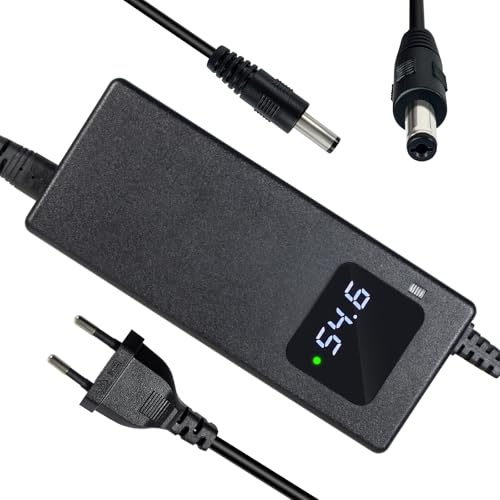 54,6 V 2 A batteriladdare för e-cykel, 48 V 13 S elektrisk skoter, 1 hål Li-Ion batteripaket, 5,5 x 2,1 mm kontakt, 48 V strömförsörjning med inbyggd fläkt, display för