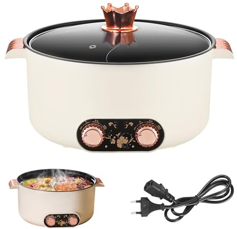 Appareil a Fondue, Fondue Chinoise 5 L à avec Compartiments Rechaud Electrique Pot 1 350 W avec 3 Réglages de Puissance pour Cuire des Fondues Préparer des Soupes Faire Bouillir des Nouilles
