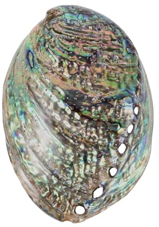 Veemoon Abalone-Meeresmuschel Accessoires,Große Abalone-Schale Für Hochzeit- Heimdekorationen DIY Decorative Accessoires Party