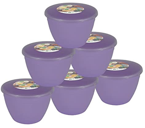 Just Pudding Basins Pastel Colours Lilac 1 Pint Basin and Clear Lid Pack of 6 Plastic Pudding Steaming Bowls