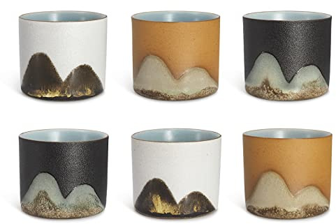 DigiTizerArt Satz von 5 handgezeichnete traditionelle chinesische Keramik Teetasse Teetassen, Pflanzen und Früchte Muster chinesische Kung FuTeetasse, Bulk Teetasse in Geschenkbox