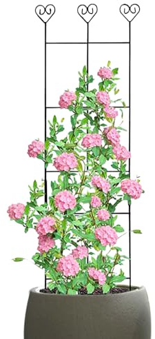 Treillis pour en Pot | Treillis pour grimpantes d'extérieur | Piquets métalliques pour Support de Vigne en Pot, d'intérieur, pothos d'intérieur