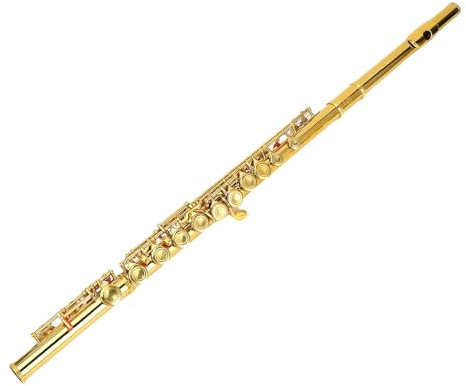 Jiawu Flauta C para Estudiantes Principiantes y Adultos, 16 Teclas, Instrumento de Flauta de Cuproníquel con Orificio Cerrado, Llave E Dividida, Juego Completo para Fiestas Festivas, Dorado