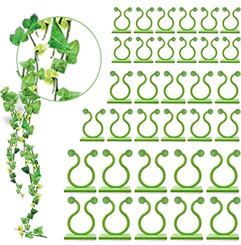 Winmany 100 Stück Pflanzenstützen 3 Größen Wandreben Pflanzen Kletterbefestigung Selbstklebende Haken Rankenhalter unsichtbare Traktion Wandbefestigung Clips Gemüsebefestigung Clips