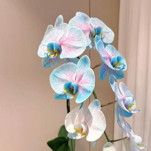 20 piezas semillas de orquídeas phalaenopsis - decoración de flores, semillas de bonsái para salón y jardín, Plantar flores, regalos de Pascua, regalo de