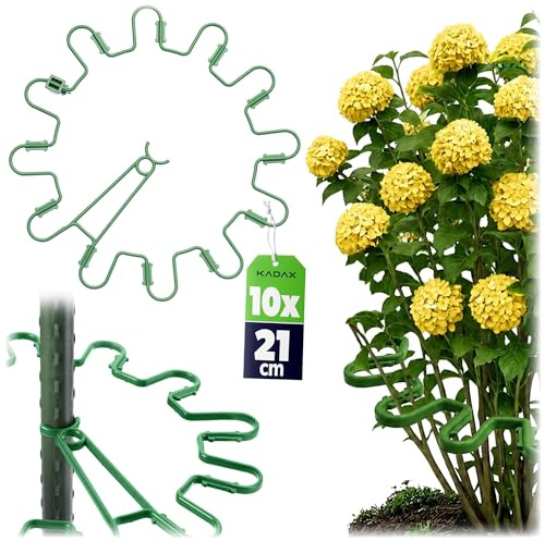 KADAX Staudenhalter Rund Ø 21 cm im 10er Set, Pflanzenhalter aus Kunststoff, Pflanzenstütze, Staudenstütze für Hortensien & Pfingstrosen, Hortensienhalter, Pflanzring (Grün)