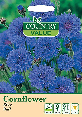 Cornflower Seeds Blue Ball by Country Value