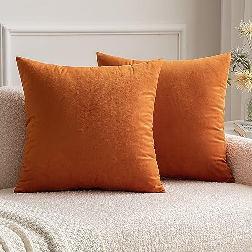 MIULEE 2er Set Kissenbezug 50x50 cm samtkissen couchkissen Orange