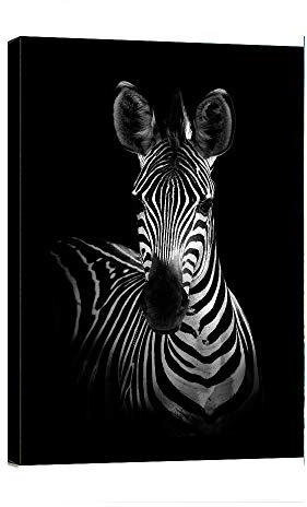 Dafun Art - Abstrakte Poster Wandkunst Schwarz Weiß Tier Schöne Zebras Leinwanddruck Rahmen Bild Gemälde für Büro Flur Heimdekoration Kinderzimmer Geschenk - 30,5 x 40,6 cm