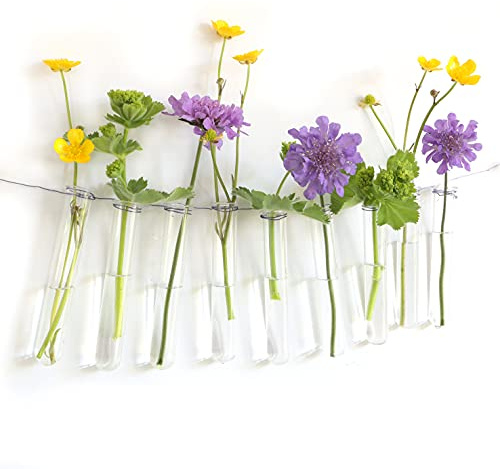 12 provrör för blommor att hänga upp, provrör vas med kant för upphängning, fönsterdekoration, hängande vas, glas, bröllopsdekoration blommor (10 cm)