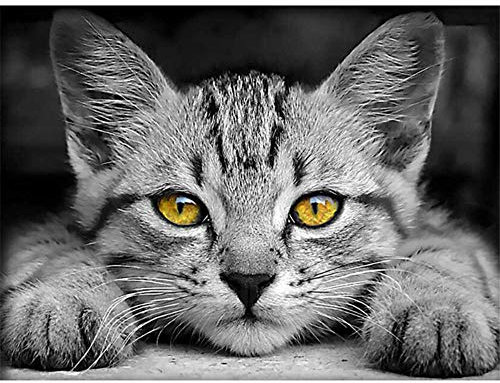 Puzzle 4000 Teile-Graue Katze Klassische Puzzle 4000,Impossible Puzzle Geschicklichkeitsspiel für die Ganze Familie,Farbenfrohes Puzzle für Erwachsene und Kinder ab 14 Jahren-55.70x34.44 Zoll (141.5