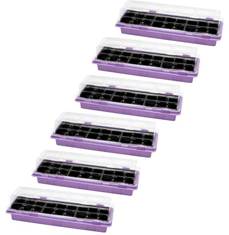Garronda Mini Gewächshaus Anzuchtkasten Pflanzen im Innenbereich Anzuchttöpfe GD-0043 (47x16 cm; Violett, 6 Stück)