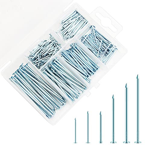 Set di Chiodi per Ferramenta 250 Pezzi Assortimento di Chiodi in Acciaio 6 Misure Chiodi Zincati Chiodi per Appendere Quadri Chiodi in Acciaio per Muro Cemento con Scatola di Immagazzinaggio