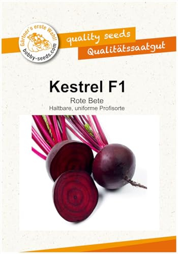 Gemüsesamen Kestrel F1 Bete Portion