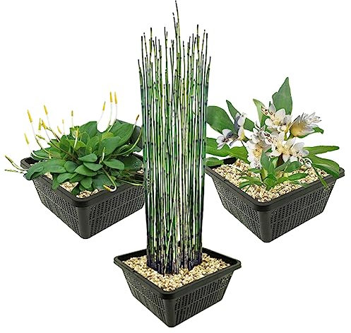 vdvelde.com 68011